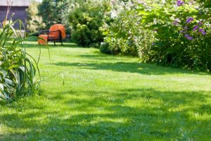 travaux jardin et paysage Montapas